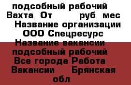 подсобный рабочий . Вахта. От 30 000 руб./мес. › Название организации ­ ООО Спецресурс › Название вакансии ­ подсобный рабочий - Все города Работа » Вакансии   . Брянская обл.